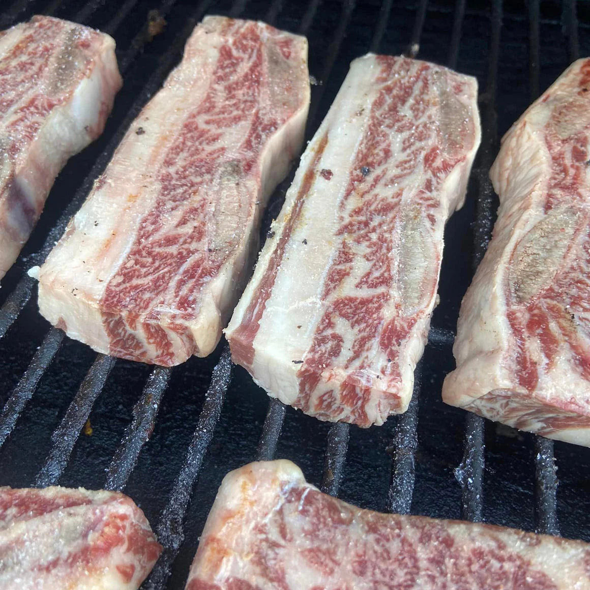 American Wagyu Short Ribs