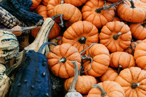 pumpkins gourds autumn fall